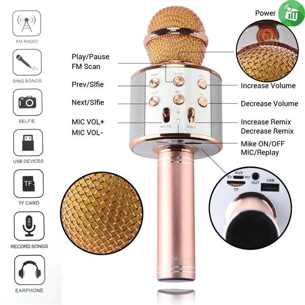 WS-Series Wireless Karaoke Microphone Pink Gold Color